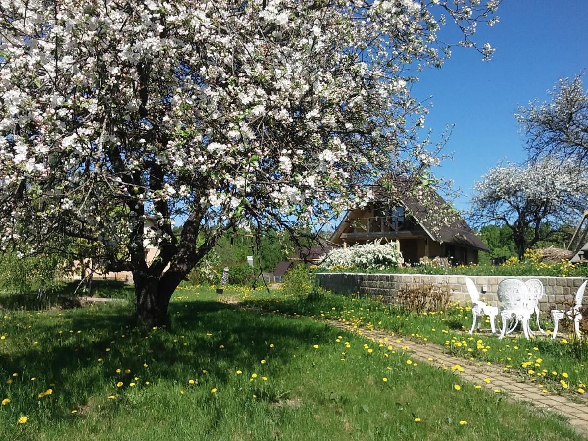 Ferienhaus Dikisi